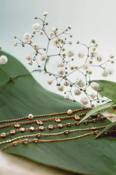 Photo of Luxury Closeup on many necklaces, a green flower and a green leaf