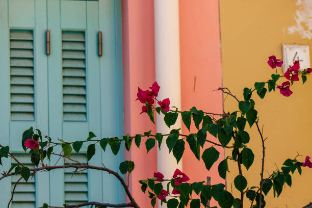 istock Colors of Greece 1173014628
