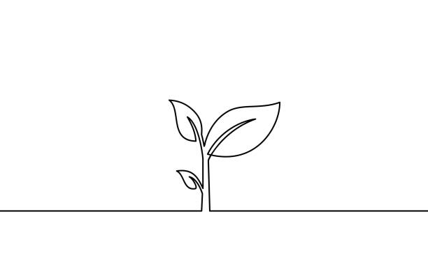 ilustrações, clipart, desenhos animados e ícones de uma linha de arte contínua. pode ser para plantas, agricultura, sementes. ilustração preto e branco do vetor. - bush flower pot tree flower