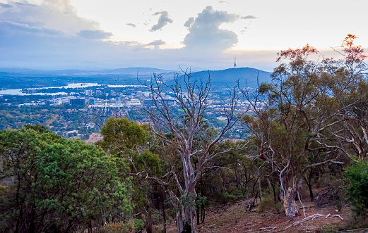 Sunset view from Mount Ainslie Lookout, viewing over the suburb of Ainslie. Telstra Telecommunications Tower in the distance. A tranquil late afternoon scene.