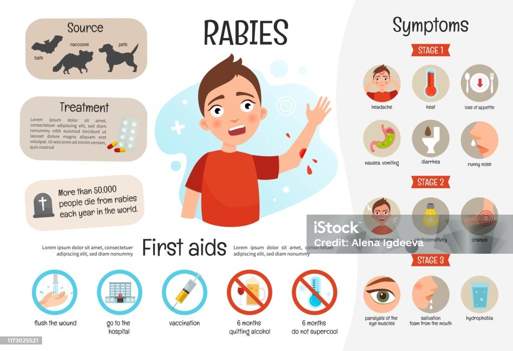 A Human With Rabies Vector Medical Poster Rabies Stock Illustration - Download Image Now ...