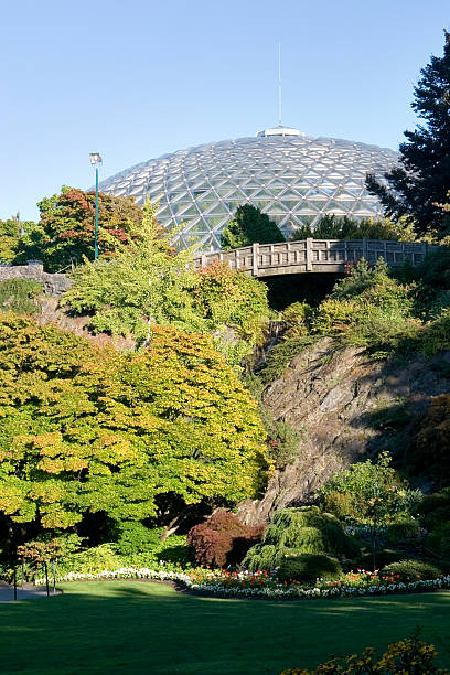 istock Landscaped garden with observatory 117302719