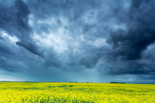 Prairie Storm Saskatchewan Canada stock photo