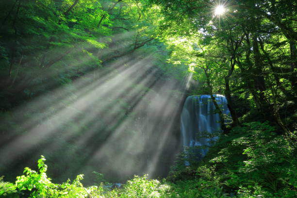 istock Akita Prefecture Summer Falls 1173029128