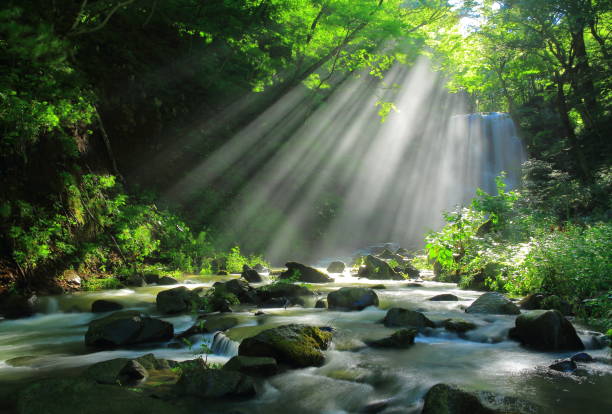 istock Akita Prefecture Summer Falls 1173029145