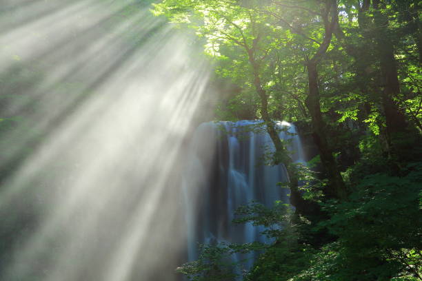 istock Akita Prefecture Summer Falls 1173029165
