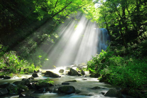 istock Akita Prefecture Summer Falls 1173029174
