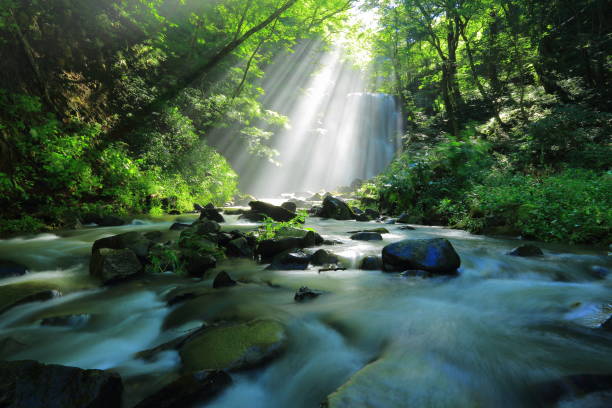 istock Akita Prefecture Summer Falls 1173029187