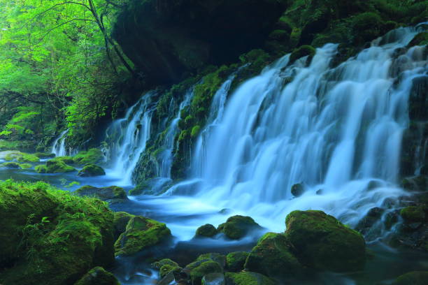istock Akita Prefecture Summer Falls 1173029214