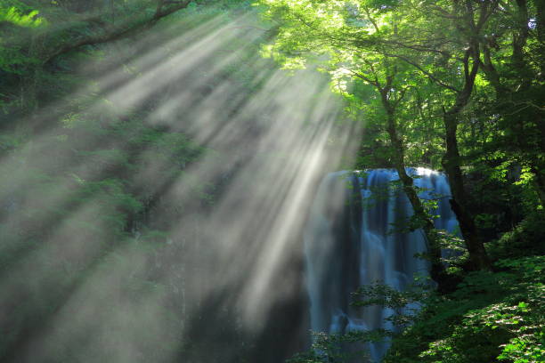 istock Akita Prefecture Summer Falls 1173029218