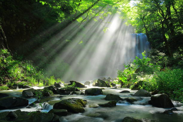 istock Akita Prefecture Summer Falls 1173029235