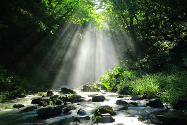 istock Akita Prefecture Summer Falls 1173029257
