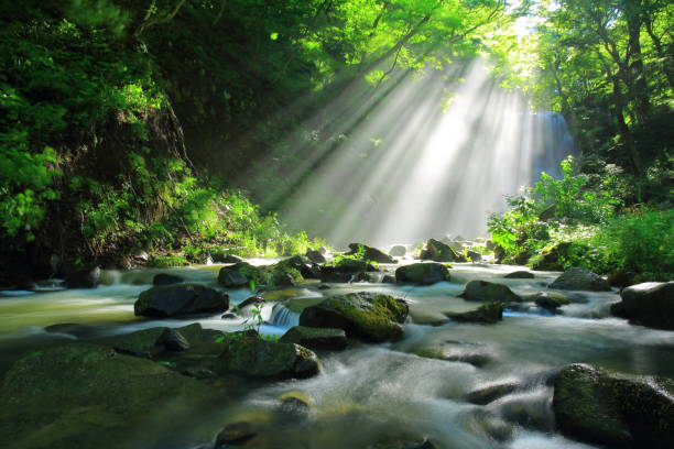 istock Akita Prefecture Summer Falls 1173029258