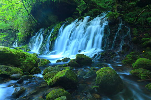 istock Akita Prefecture Summer Falls 1173029259