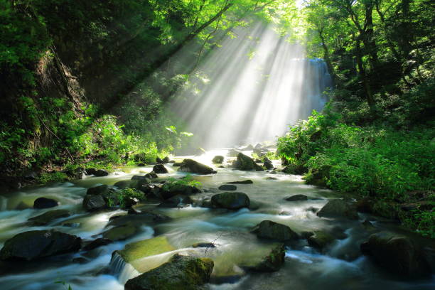 istock Akita Prefecture Summer Falls 1173029262