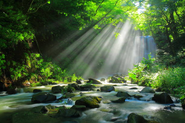 istock Akita Prefecture Summer Falls 1173029269