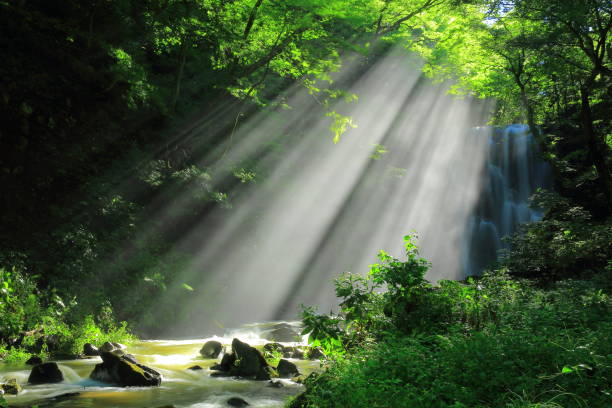 istock Akita Prefecture Summer Falls 1173029271