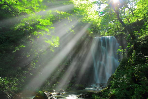 istock Akita Prefecture Summer Falls 1173029277