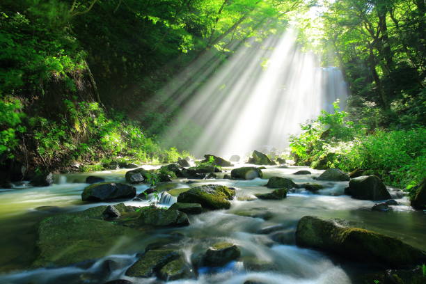 istock Akita Prefecture Summer Falls 1173029279