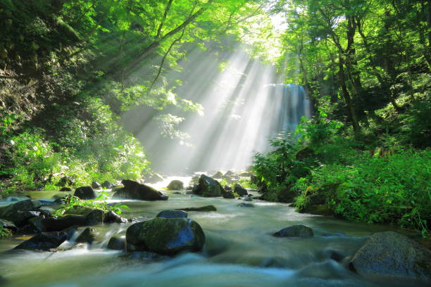 istock Akita Prefecture Summer Falls 1173029284