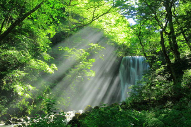 akita prefecture summer falls - spring waterfall japan landscape stock-fotos und bilder