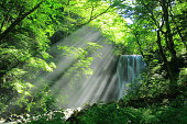 Akita Prefecture Summer Falls