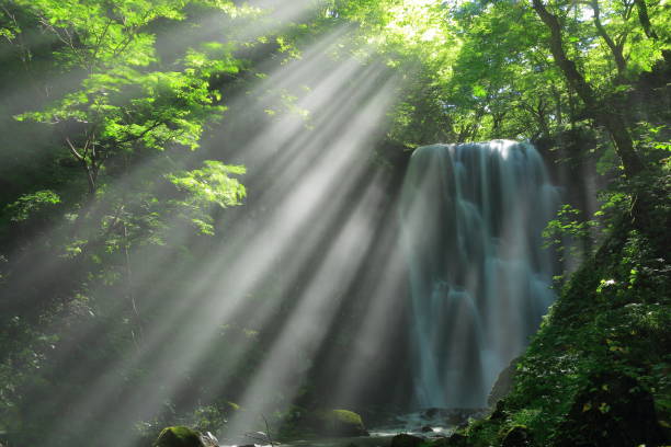 istock Akita Prefecture Summer Falls 1173029329