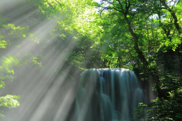 istock Akita Prefecture Summer Falls 1173029333
