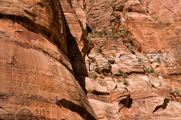 istock Rock Climber in Zion 117302952