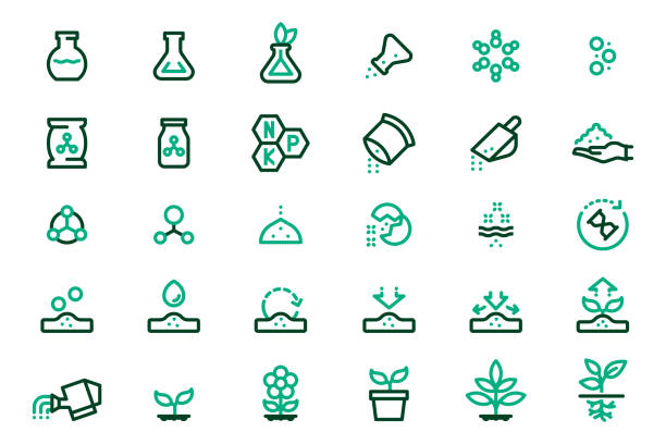 ilustrações de stock, clip art, desenhos animados e ícones de chemical fertilizer and reactions to plants and soil. plant nutrients extracted with scientific methods. - science botany chemistry formula