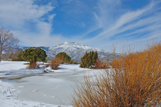 Frozen pond at Cold Creek Canyon stock photo