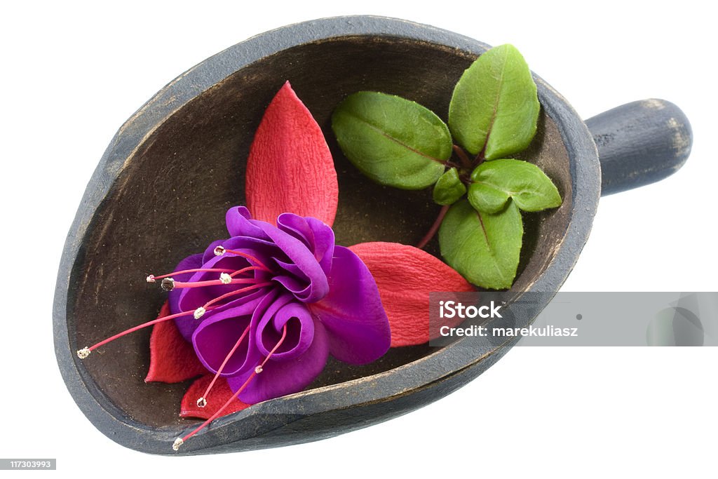 Runder von fuchsia Blume - Lizenzfrei Altertümlich Stock-Foto