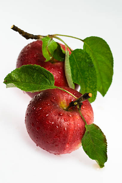 新鮮な赤いリンゴ - rome beauty ストックフォトと画像