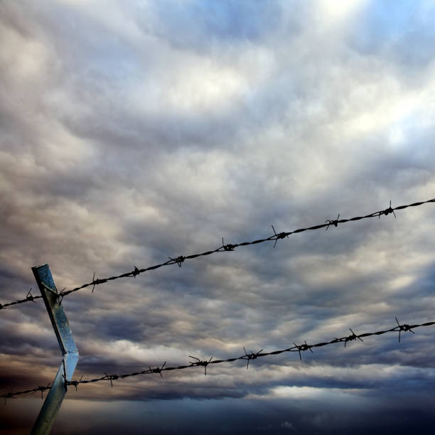 istock close up barbed wire fence 1173041123