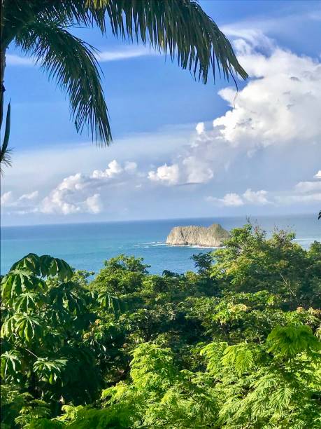 istock The Pacific coast in Manuel Antonio park 1173043126