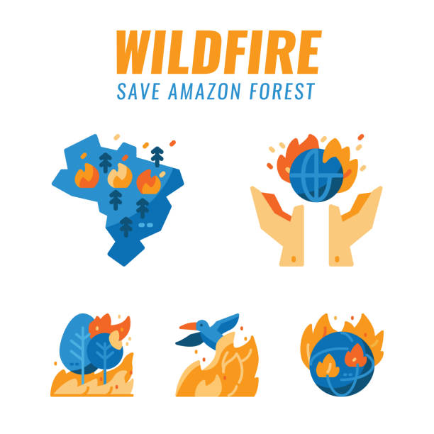 ilustrações, clipart, desenhos animados e ícones de salvar floresta amazônica e animais selvagens de incêndios florestais. - amazon com illustrations
