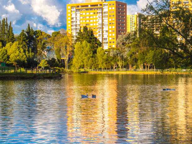 istock Building in city reflected in lake 1173044565