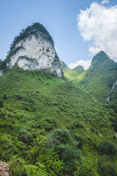 istock Libo Maolan National Nature Reserve 1173046010