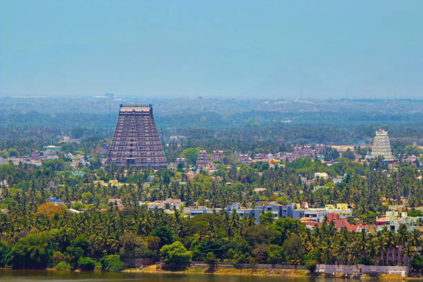 templo sri ranganatha swamy en trichy - india statue carving history fotografías e imágenes de stock