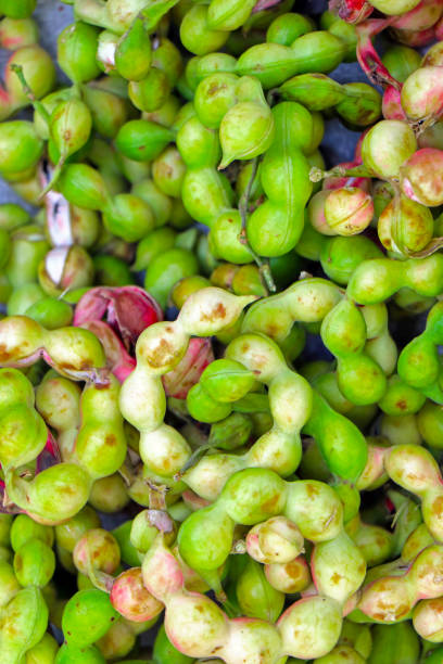 istock pile of fresh Manila tamarind 1173056815