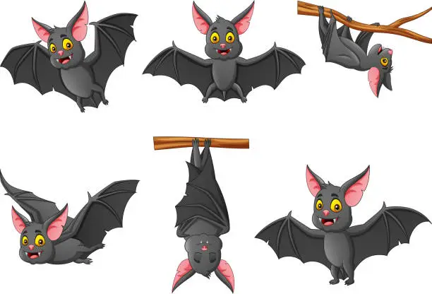 Vector illustration of Set of cartoon bat with different expressions