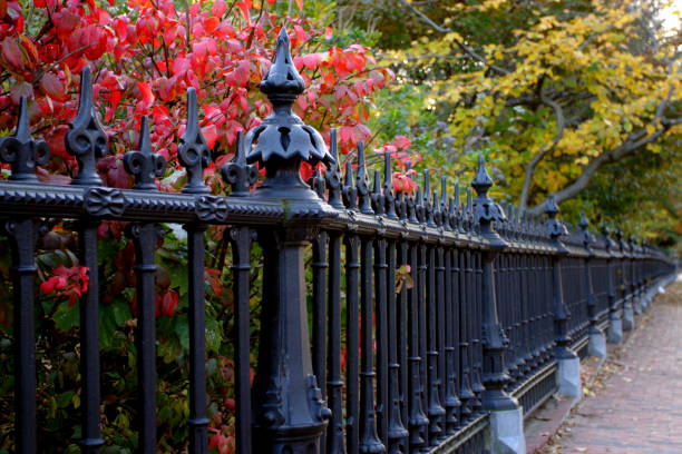 istock Boston Public Garden 1173057278
