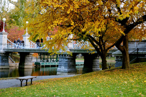 istock Boston Public Garden 1173057297