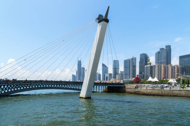 istock Cable-stayed Bridge and Urban Skyline in Qingdao, China 1173058192