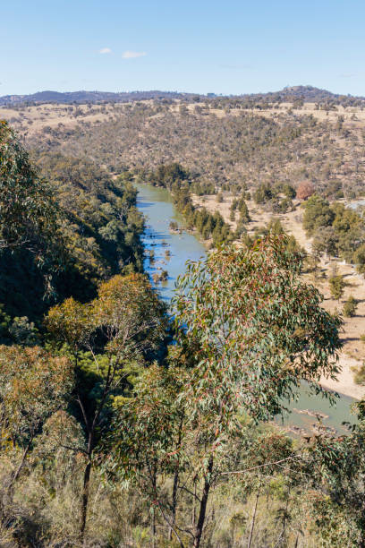 istock The Murrumbidgee River looking to the north, downriver, at the lower Cotter 1173060416