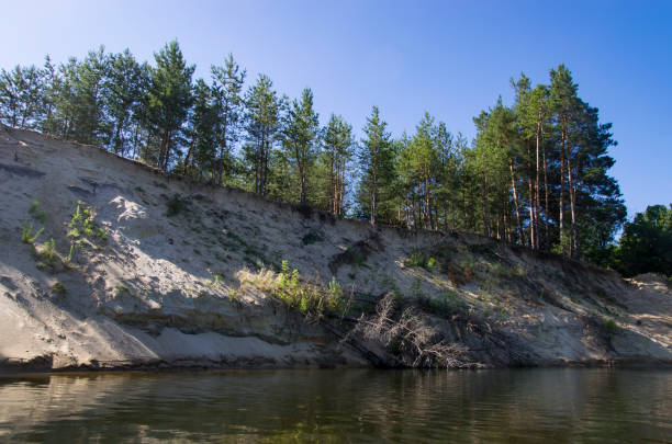 istock Forest on a steep bank of a river 1173064984