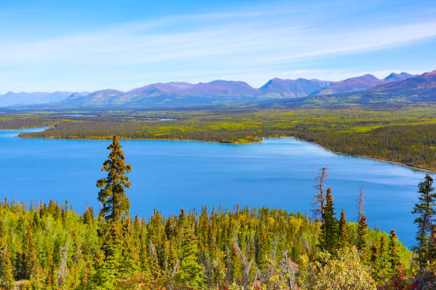 秋のクルアン国立公園、ユーコン、カナダ - alaska landscape scenics wilderness area ストックフォトと画像