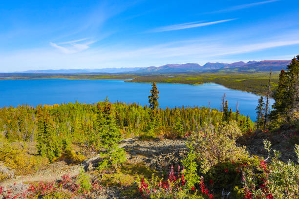 национальный парк клюан на осень, yukon, канада - lake alaska mountain mountain range стоковые фото и изображения
