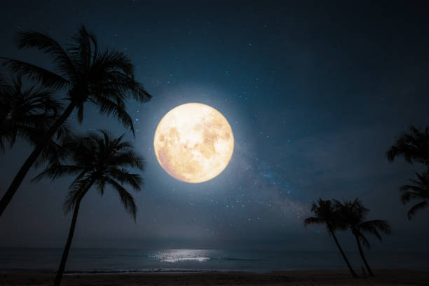 tropical beach with star and full moon in night skies. Romantic night scene - beautiful fantasy tropical beach with star and full moon in night skies. fantasy moonlight beach stock pictures, royalty-free photos & images