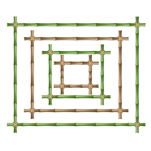 bambusrahmen aus stielen - bamboo green frame sparse stock-grafiken, -clipart, -cartoons und -symbole